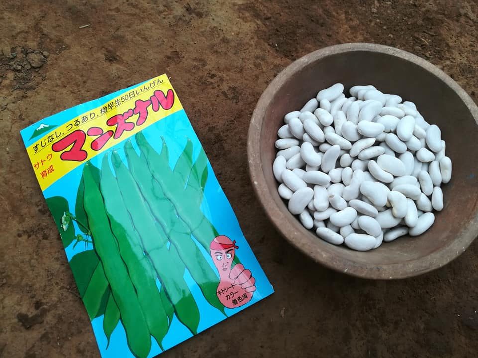 56532462_2321133991270528_350045753088933888_n