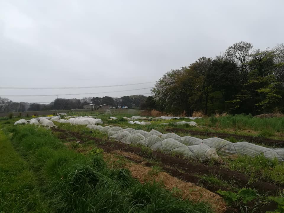 56635170_2321134264603834_5189466030065319936_n