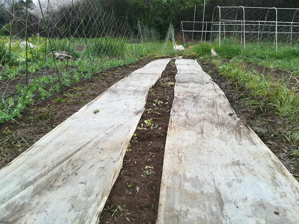 56737186_2321134044603856_498282786919022592_n