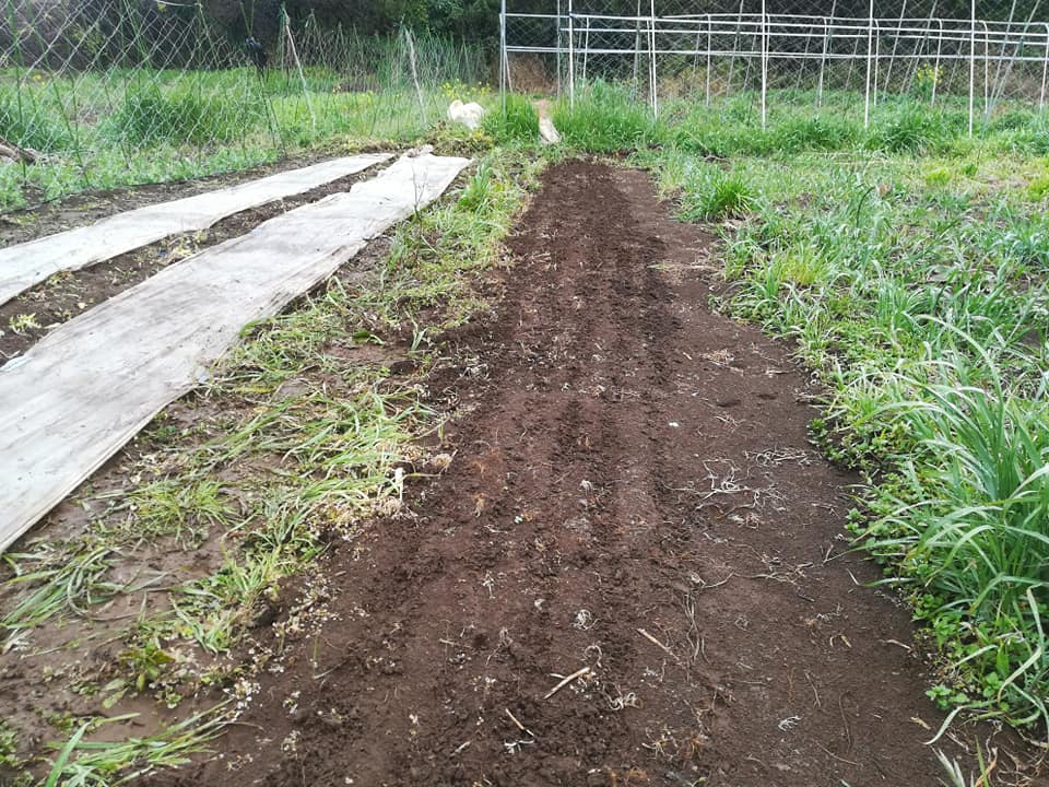 56795584_2321134094603851_7294527233815740416_n