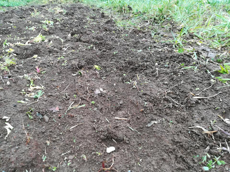 56942517_2321134394603821_4863488161306640384_n