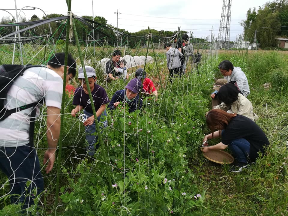 56922804_2358953624155231_7895950177129725952_n