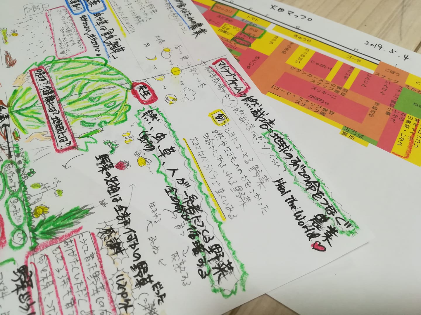 59865002_2360426700674590_2197482564883578880_o