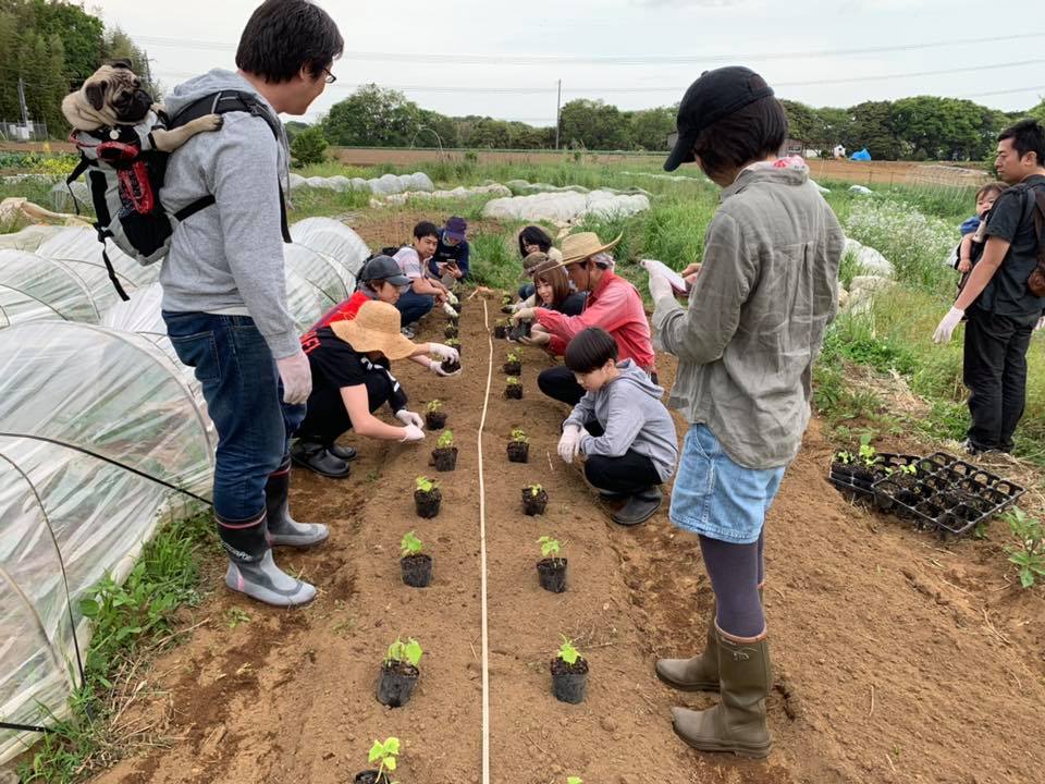 60005917_2354655841270355_8938995049526460416_n